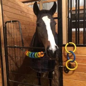 Meet your Posher, Leona